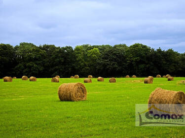 foto principale del terreno