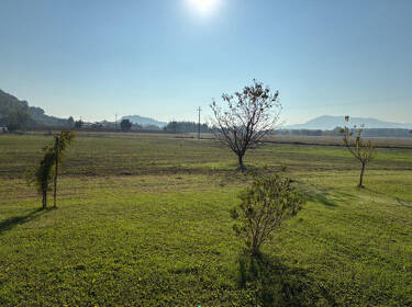 foto principale del terreno