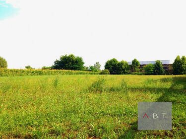 foto principale del terreno