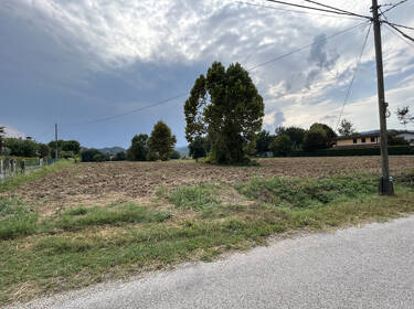 foto principale del terreno