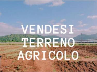 foto principale del terreno