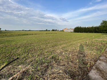 foto principale del terreno