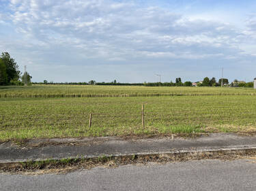 foto principale del terreno