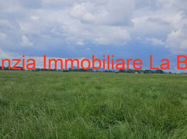 foto principale del terreno