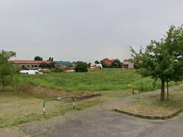 foto principale del terreno