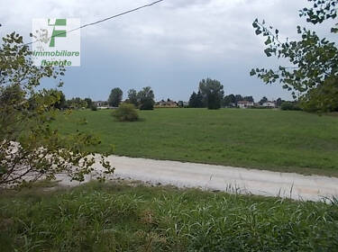 foto principale del terreno