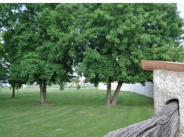 foto principale del terreno