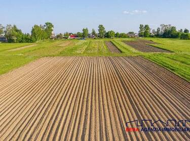 foto principale del terreno
