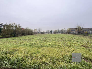 foto principale del terreno