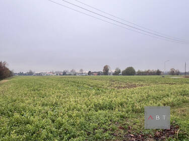 foto principale del terreno