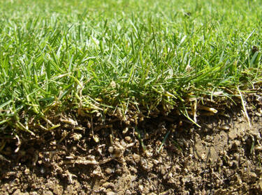 foto principale del terreno