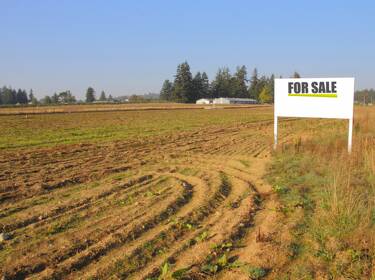 foto principale del terreno