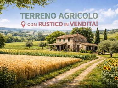 foto principale del terreno