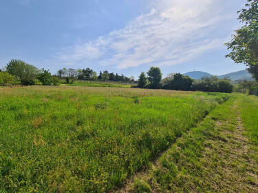 foto principale del terreno