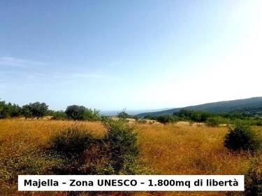 foto principale del terreno