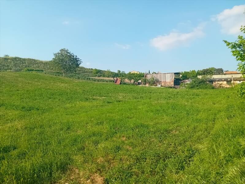 foto principale del terreno