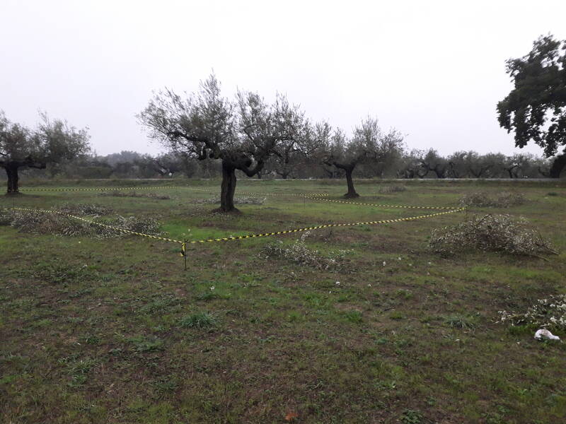 immagine annuncio 1 di 5