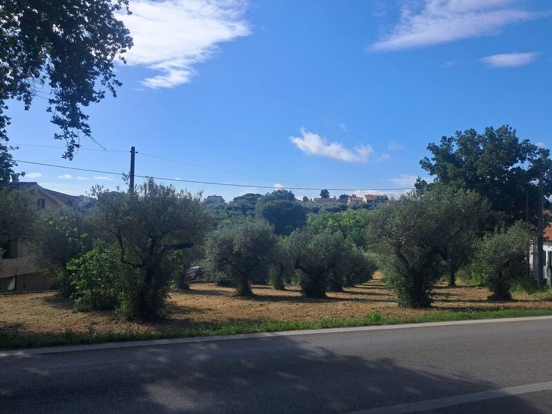 foto principale del terreno