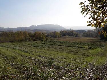 foto principale del terreno