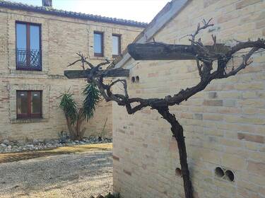 foto principale del terreno