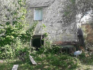 foto principale del terreno