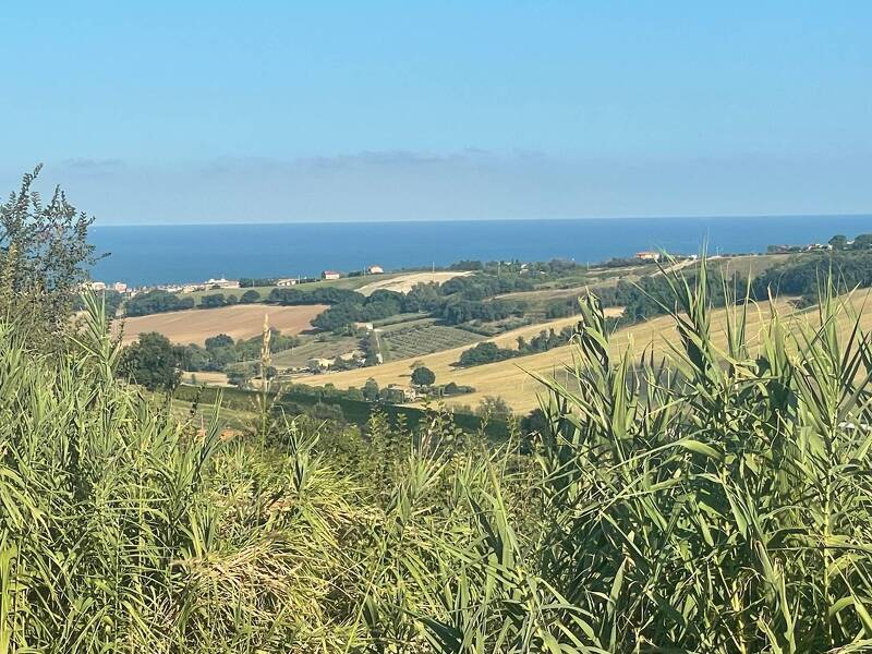 foto principale del terreno