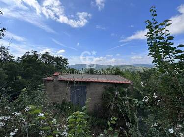 foto principale del terreno