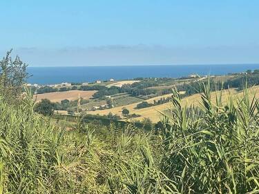 foto principale del terreno