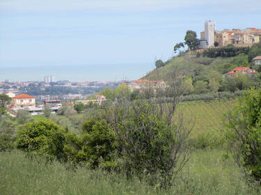 foto principale del terreno