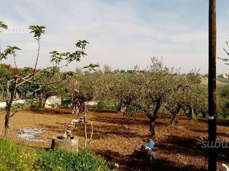 immagine annuncio 1 di 3