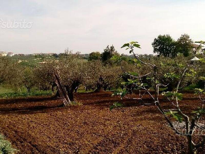 immagine annuncio 2 di 3