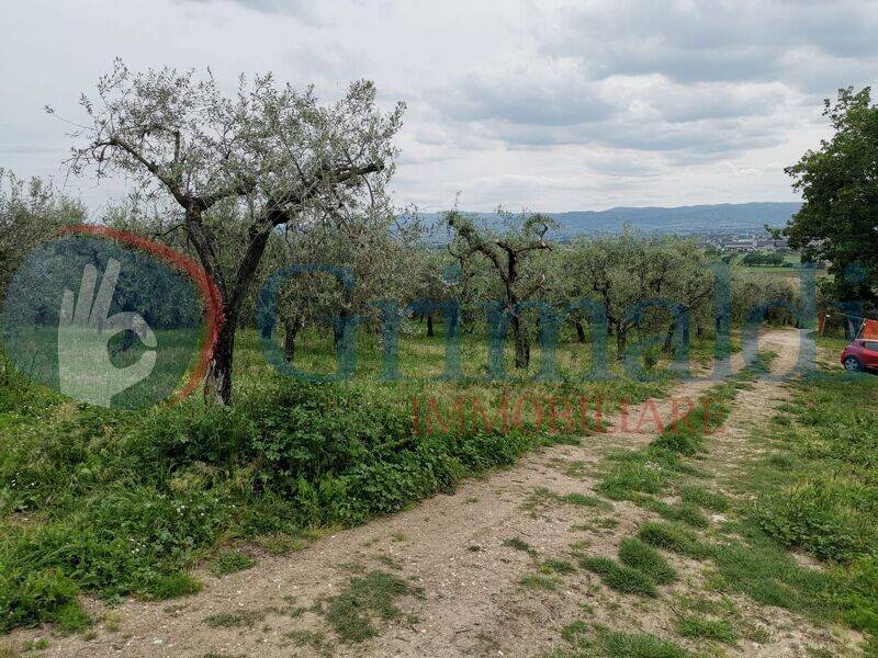 foto principale del terreno