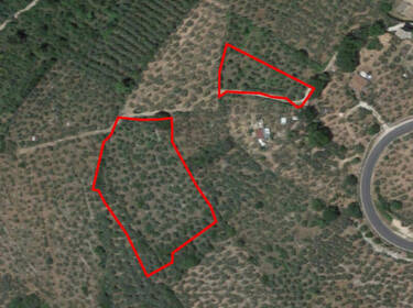 foto principale del terreno