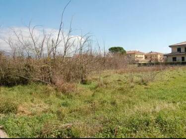 foto principale del terreno