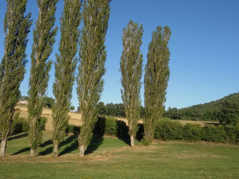 foto principale del terreno