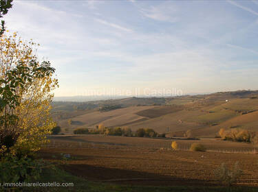 foto principale del terreno