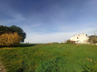 foto principale del terreno