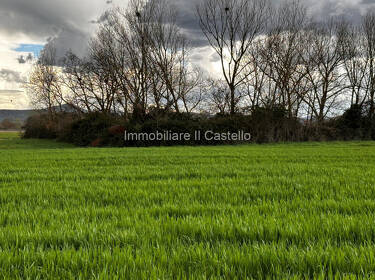 foto principale del terreno