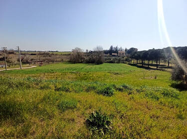 foto principale del terreno