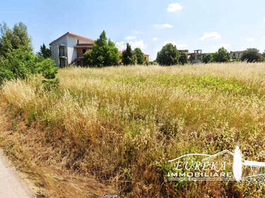 foto principale del terreno