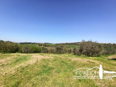 foto principale del terreno