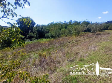 foto principale del terreno