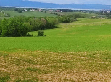 foto principale del terreno