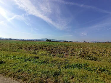 foto principale del terreno