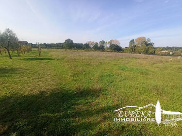 foto principale del terreno