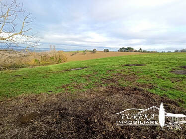 foto principale del terreno