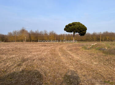 foto principale del terreno