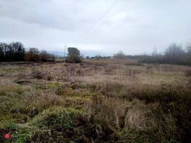 foto principale del terreno