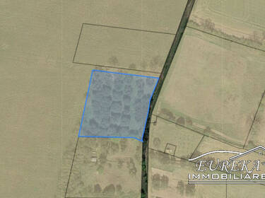 foto principale del terreno