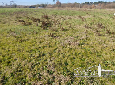 foto principale del terreno